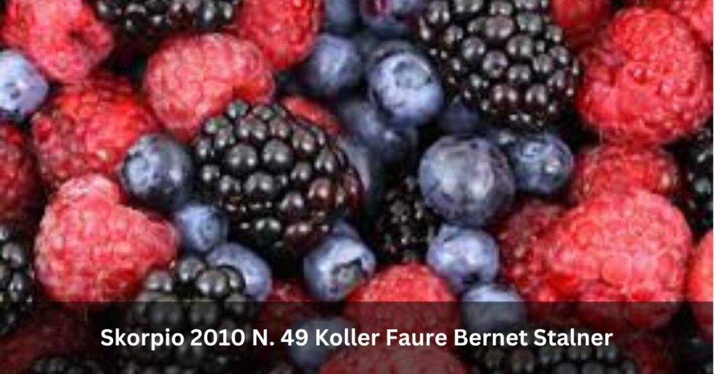 Skorpio 2010 N. 49 Koller Faure Bernet Stalner 